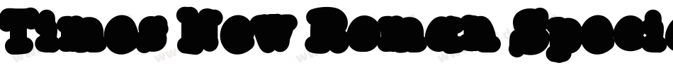 Times New Roman Special G2 Bold字体转换